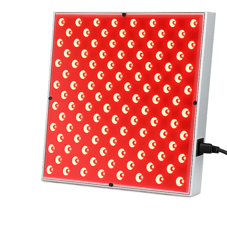 Red Light Panel